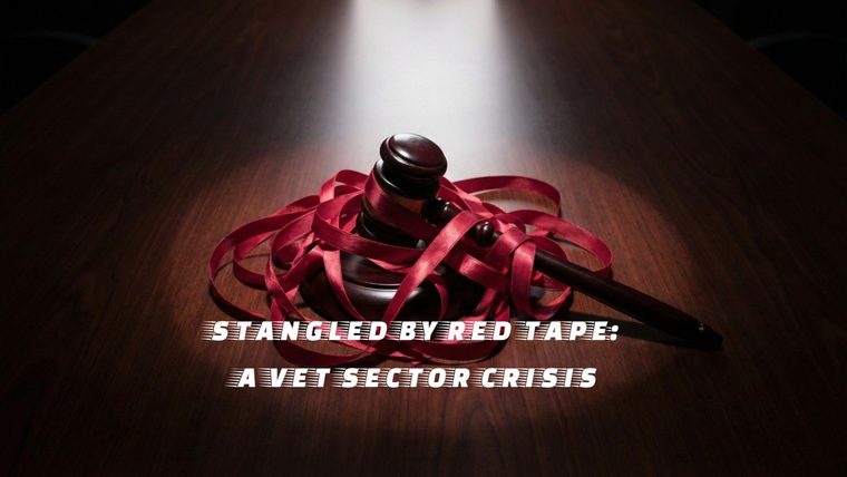 ASQA Regulatory Conduct | Sukh Sandhu A gavel tangled in red tape symbolizes a crisis within the vocational education and training sector, highlighting compliance.